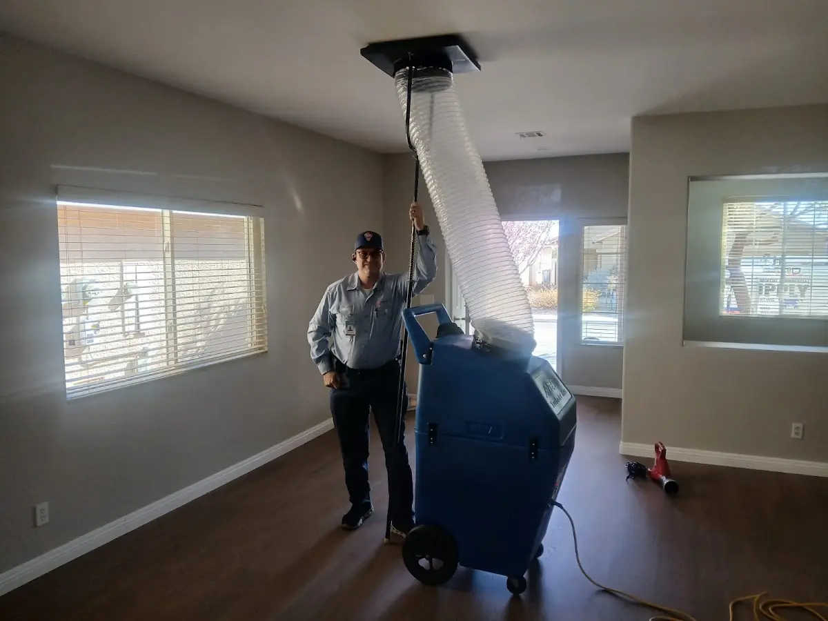 Professional Dryer Vent Cleaning work inside a Affton home
